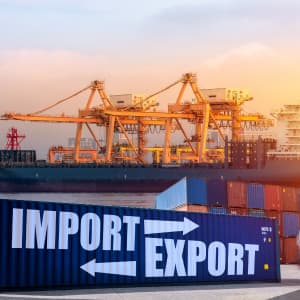 Reduce import expense