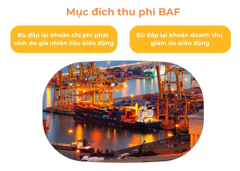 4. Phí BAF do ai quy định và bên nào cần đóng?