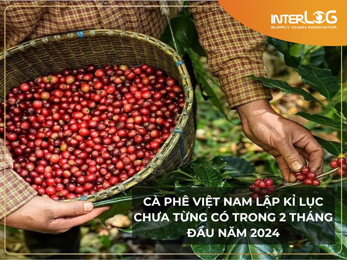 Cà phê Việt Nam lập kỉ lục chưa từng có chỉ trong 2 tháng đầu năm 2024