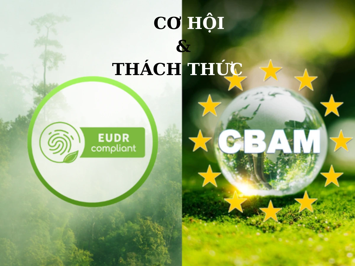 EUDR và CBAM đều đã đi vào triển khai - Có những cơ hội và thách thức nào cho doanh nghiệp? (Phần 2)