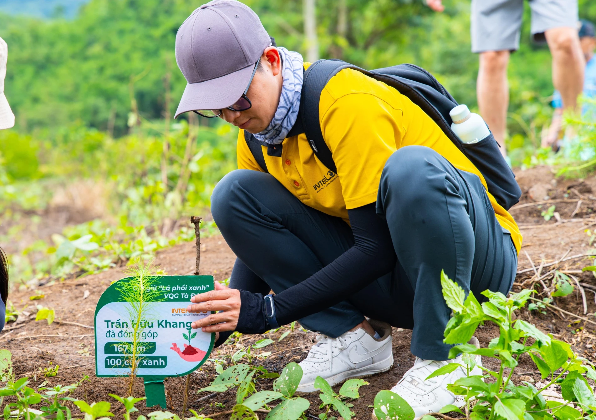 Những cây xanh kiến tạo nên môi trường xanh