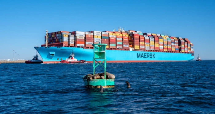 Các liên minh hãng tàu container lớn trên thế giới và tác động đến vận tải biển toàn cầu