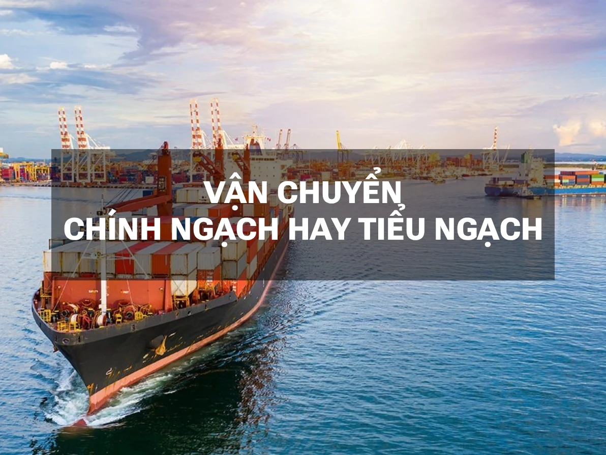 Tiểu ngạch, chính ngạch là gì? Phân biệt chi tiết và cách lựa chọn loại hình phù hợp