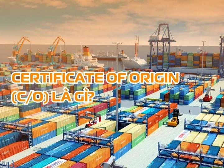 Certificate of Origin (C/O) là gì? Những điều doanh nghiệp cần biết