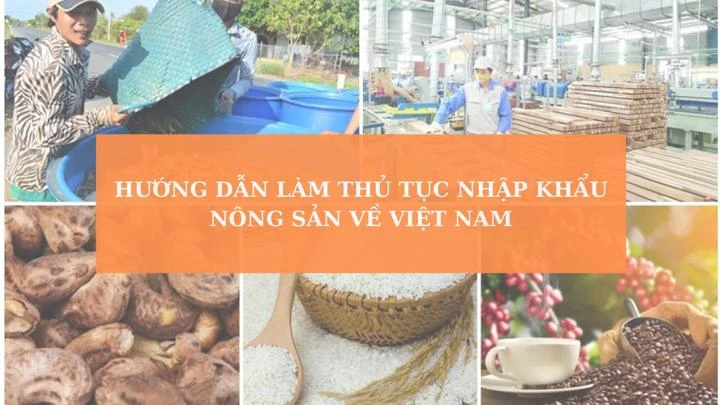 Thủ tục nhập khẩu nông sản về Việt Nam cập nhật mới nhất