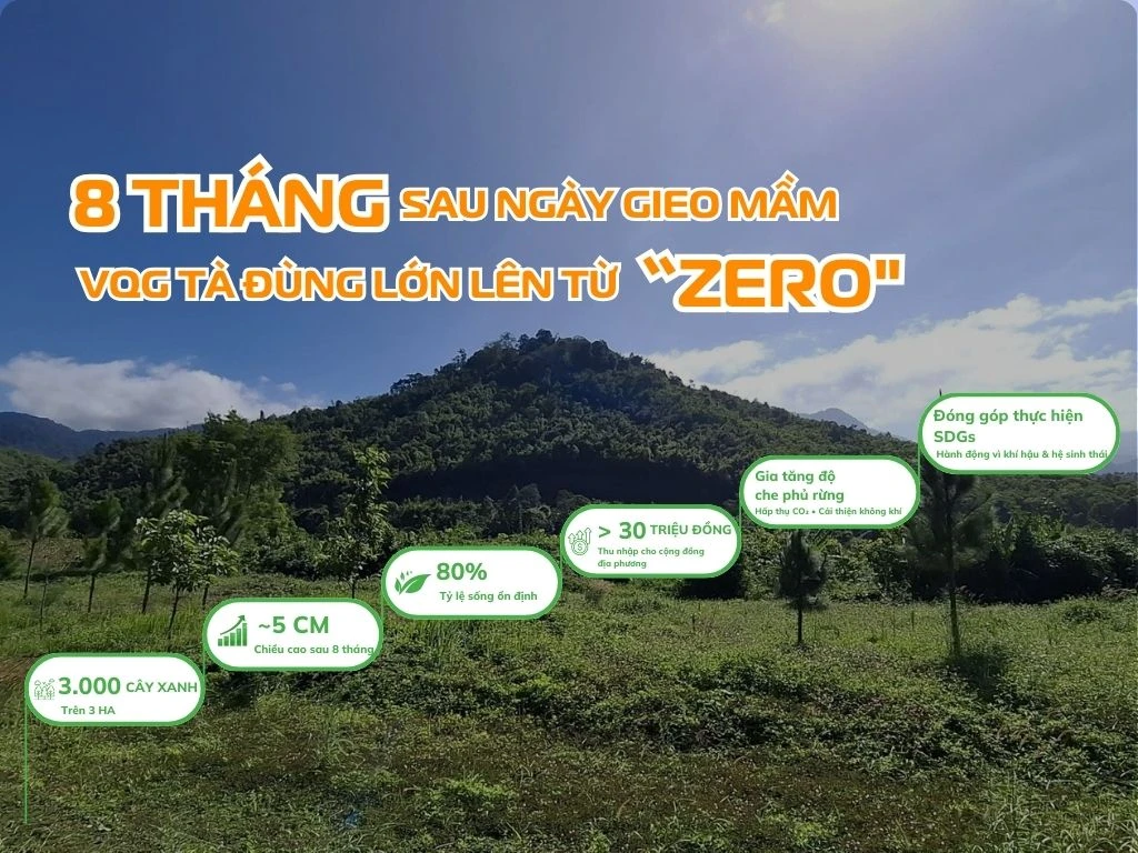 8 tháng sau ngày gieo mầm: Tà Đùng lớn lên từ “zero”
