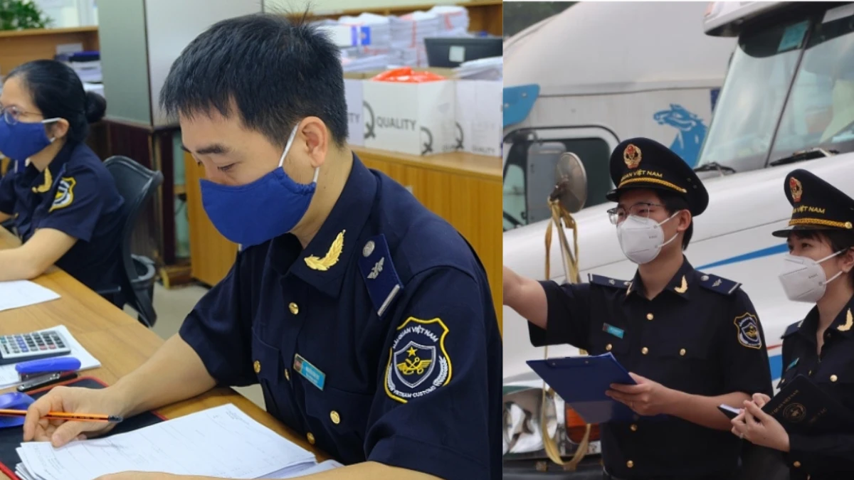 Kiểm tra sau thông quan C/O: Doanh nghiệp bị truy thu thuế và phạt bao nhiêu?
